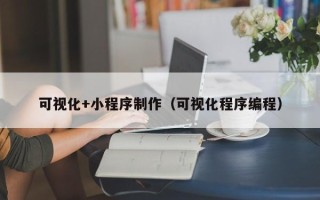 柳州可视化+小程序制作（可视化程序编程）